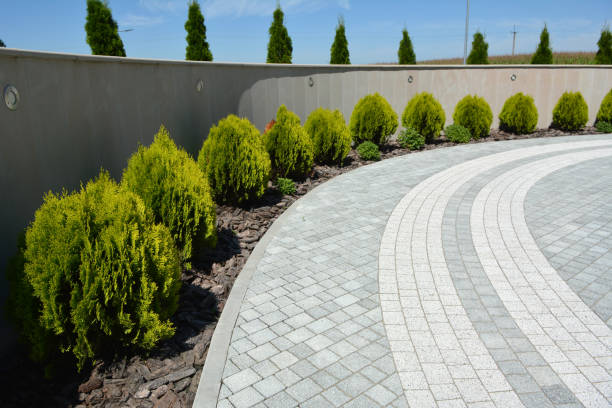 Best Affordable Driveway Paving  in Haskell, TX